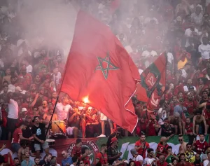 Anfitrião do mundial acusado de exterminar milhões de cães vadios antes do torneio