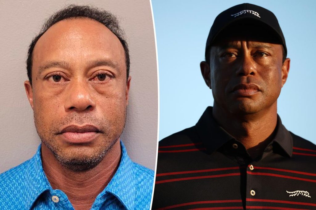 Tiger Woods in trouble: Update on the driving under the influence case.