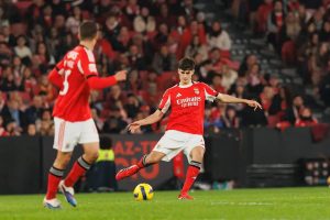 “António Silva in the spotlight in the Bundesliga: Proposal between 15 to 25 million.”