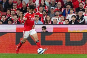 Tomás Araújo absent: Benfica faces Casa Pia without the defender.