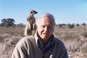 “Our congratulations on your 100th birthday, Sir David Attenborough.”