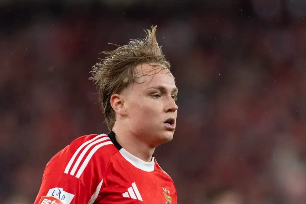 Schjelderup is renewing his contract with Benfica and prioritizing the World Cup.