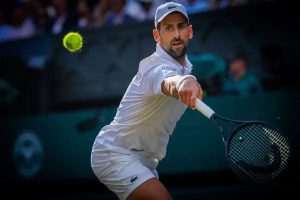 Novak Djokovic has accumulated 24 Grand Slam titles and invests millions in real estate.