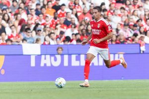 “Amar Dedic strengthens Newcastle for 35 million euros.”