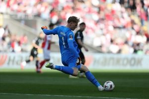 SC Braga confirms sale of Hornicek to Newcastle for 30 million.