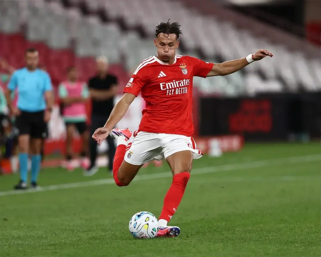 Newcastle agree £29.5m deal to sign defender Amar Dedic from Benfica