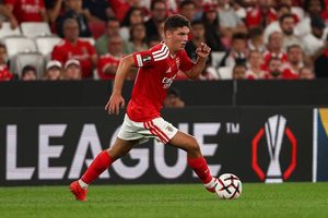 “Sudakov is the solution for Benfica’s midfield without Barreira.”